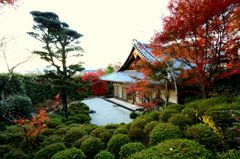 晩秋の金福寺