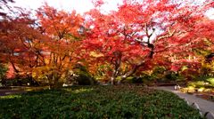 紅洛巡礼【宝厳院】