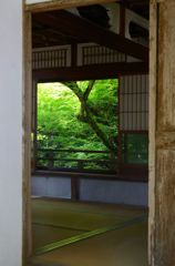 古知谷・阿弥陀寺２