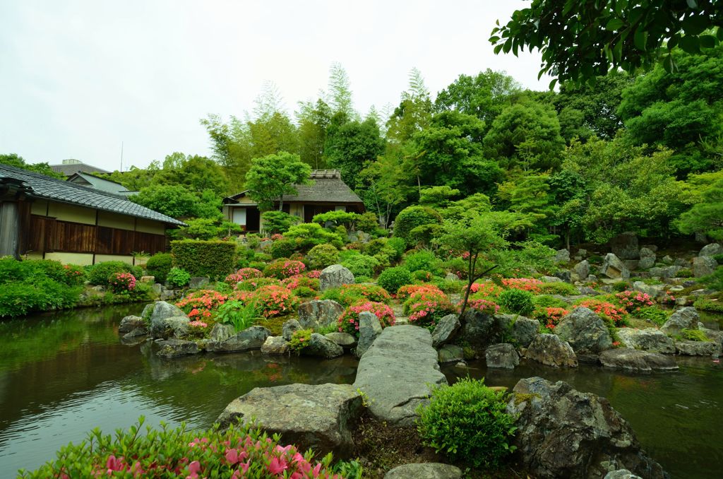 等持院・皐月６