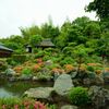 等持院・皐月６