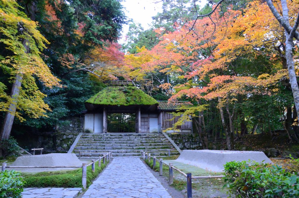 そうだ京都を写そう！法然院３