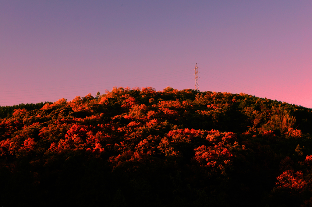 忌部の夕暮れ