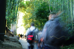 竹林