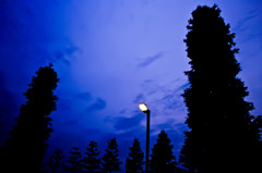 夜