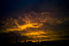 20110612_0014DP1S