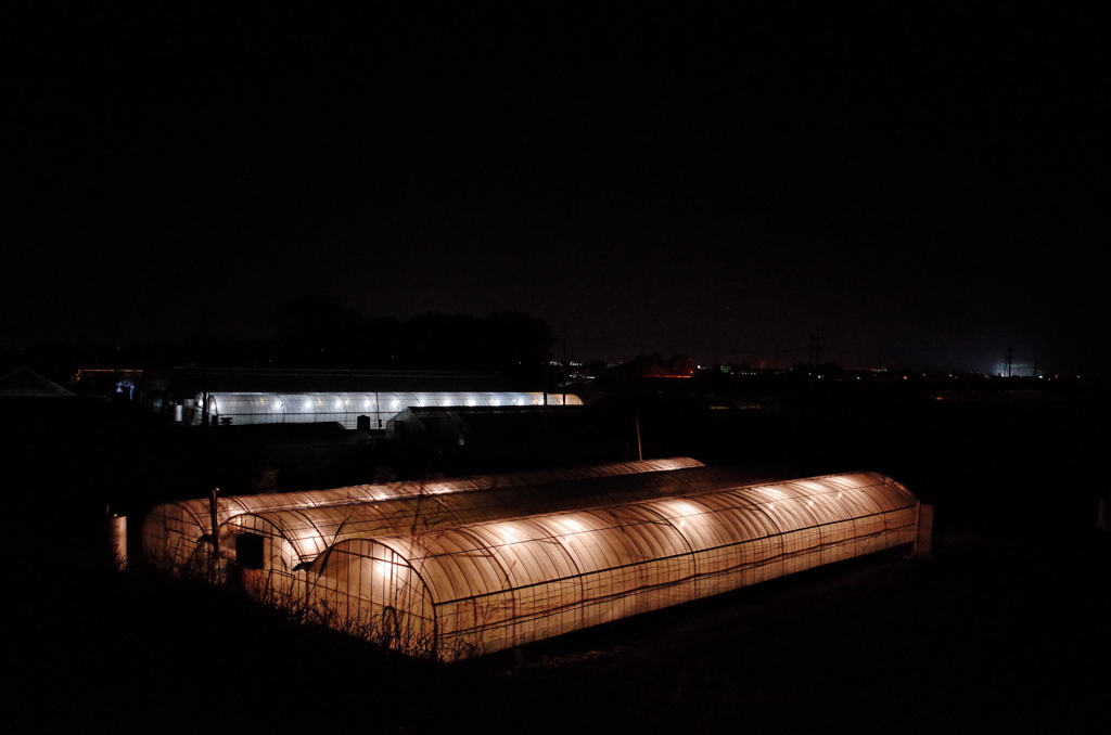 nocturne