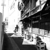 ギコギコな光と影とおばさんと鯉のぼり。