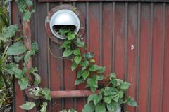 口から出てきたみたいで草