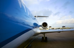flight