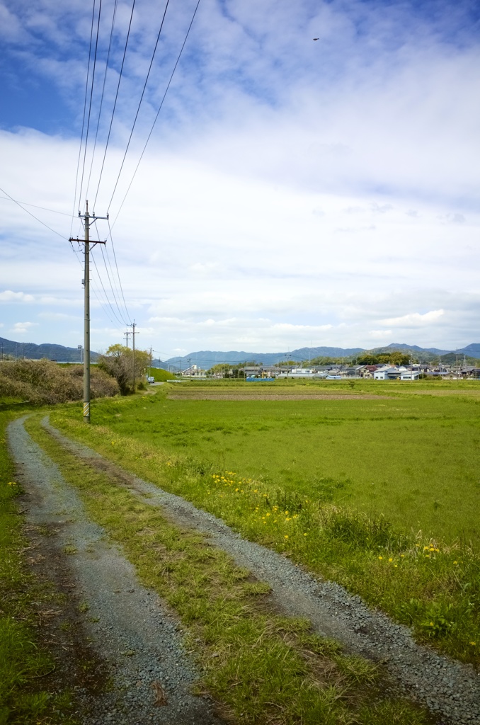 田舎道