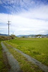 田舎道