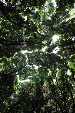 静寂の隙間