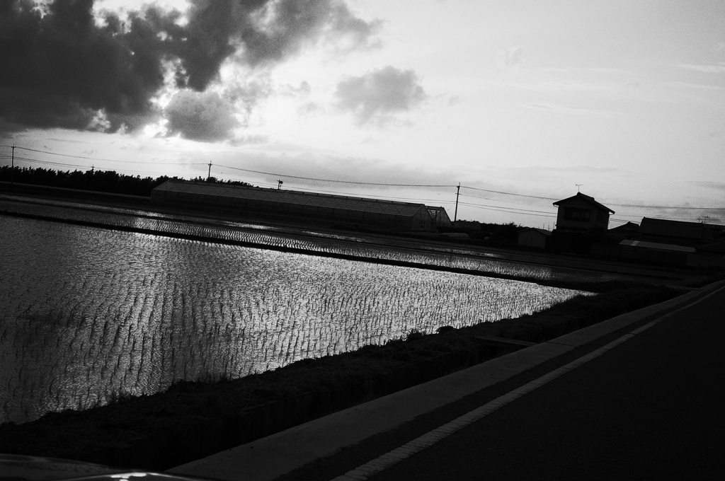 小屋と水田と雲の構図