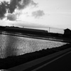 小屋と水田と雲の構図