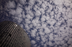 筋斗雲