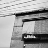 路地がどんどん死んでいく