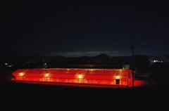 nocturne