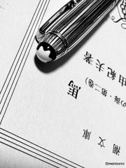 片言隻語