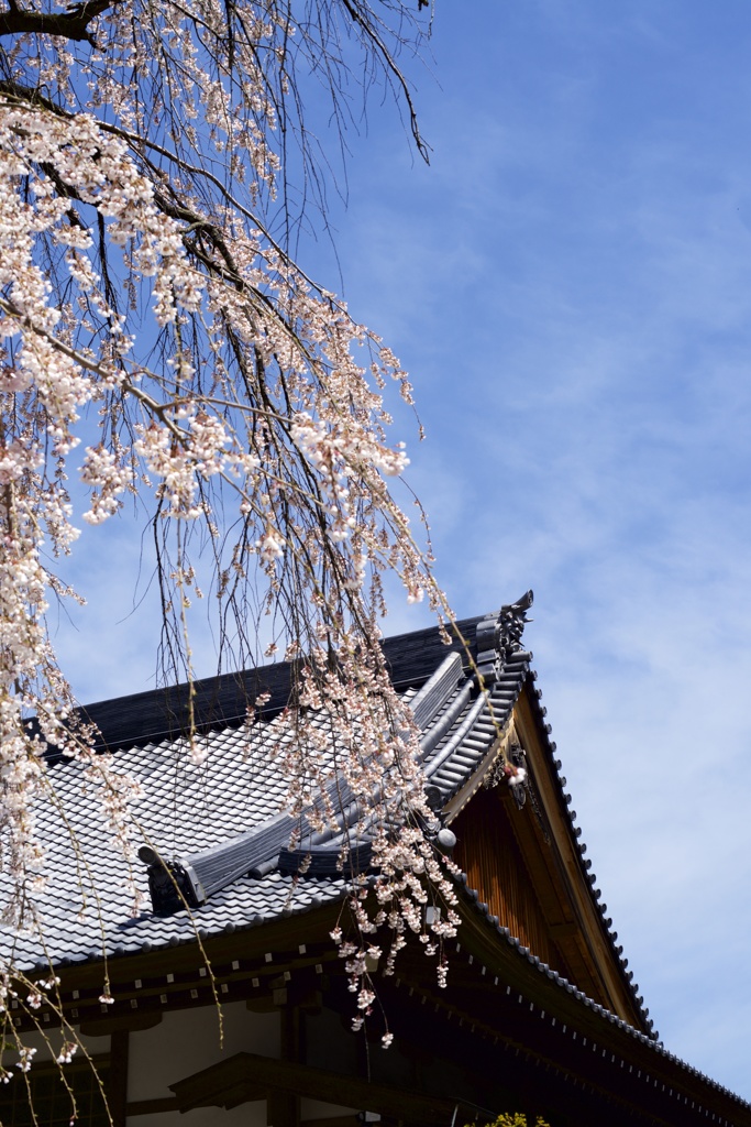 旅の空