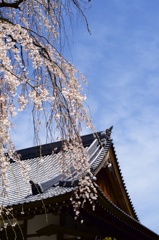 旅の空