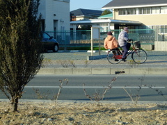 連れ添う