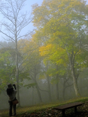 朝靄の散歩　旭川嵐山