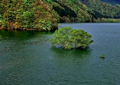 錦秋湖　水没林　日本縦断　２０