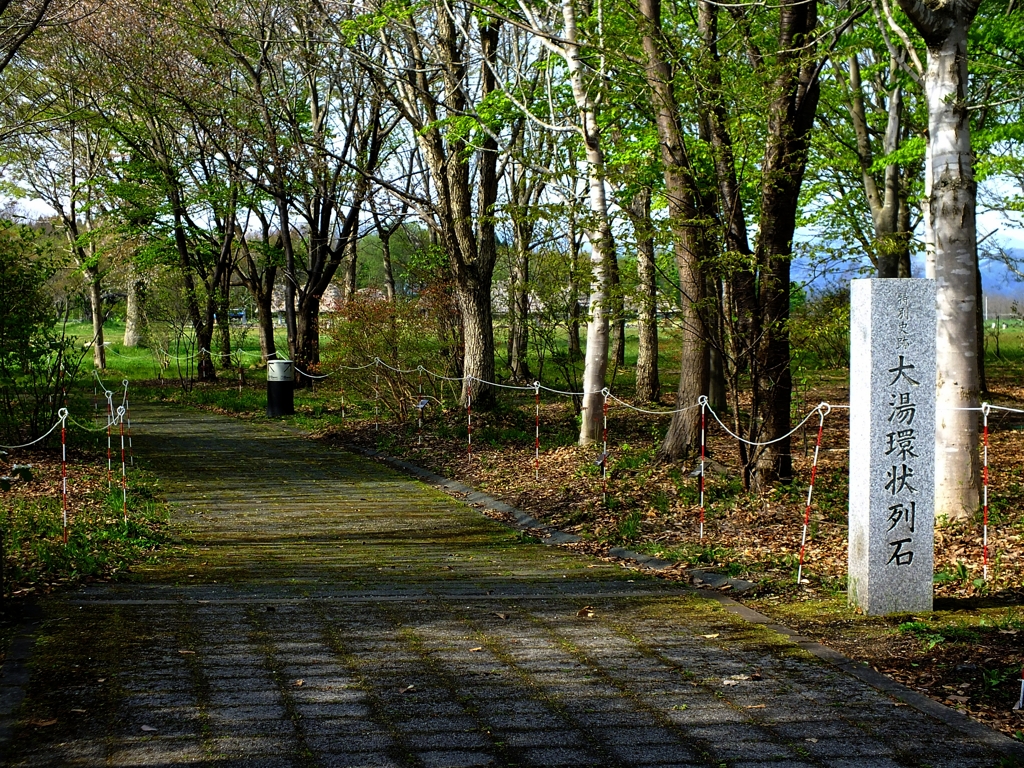 大湯環状列石　日本縦断　１１