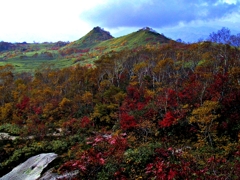 彼日　彼処で３　紅葉の樹海に潜り込む　ニセコ山系
