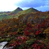 彼日　彼処で３　紅葉の樹海に潜り込む　ニセコ山系