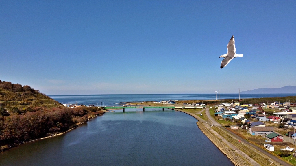 さあ、海が見えたよ　尻別川４