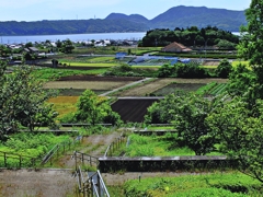 夏日陰　人が消えたか・・大根島　日本縦断　８０