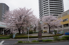 武蔵浦和駅