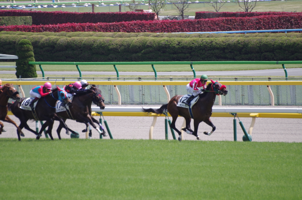 インキュベーター[3歳未勝利(5R)/13.04.27]