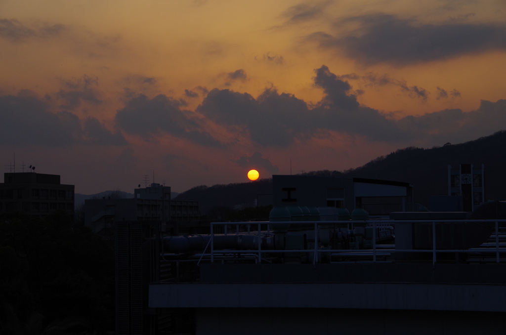 夕日