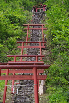 秩父・鳥居