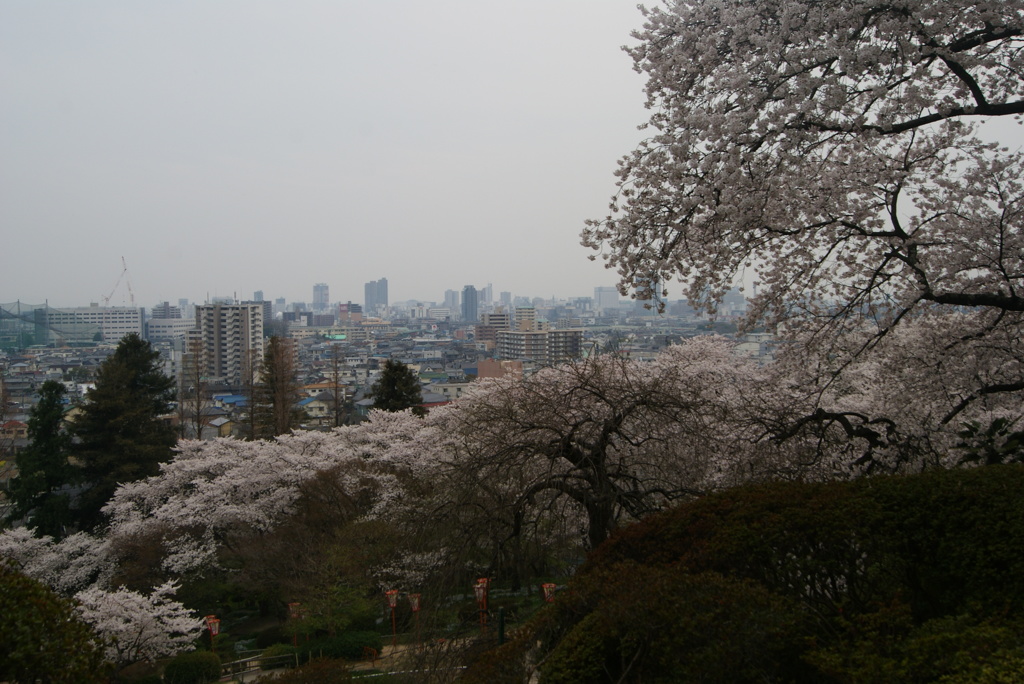 岡山の街