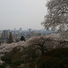 岡山の街