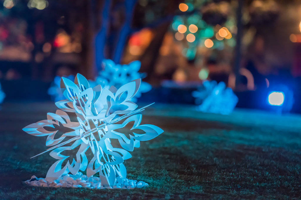 雪の結晶