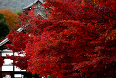 嵐山３