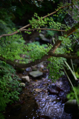 DSC_1874