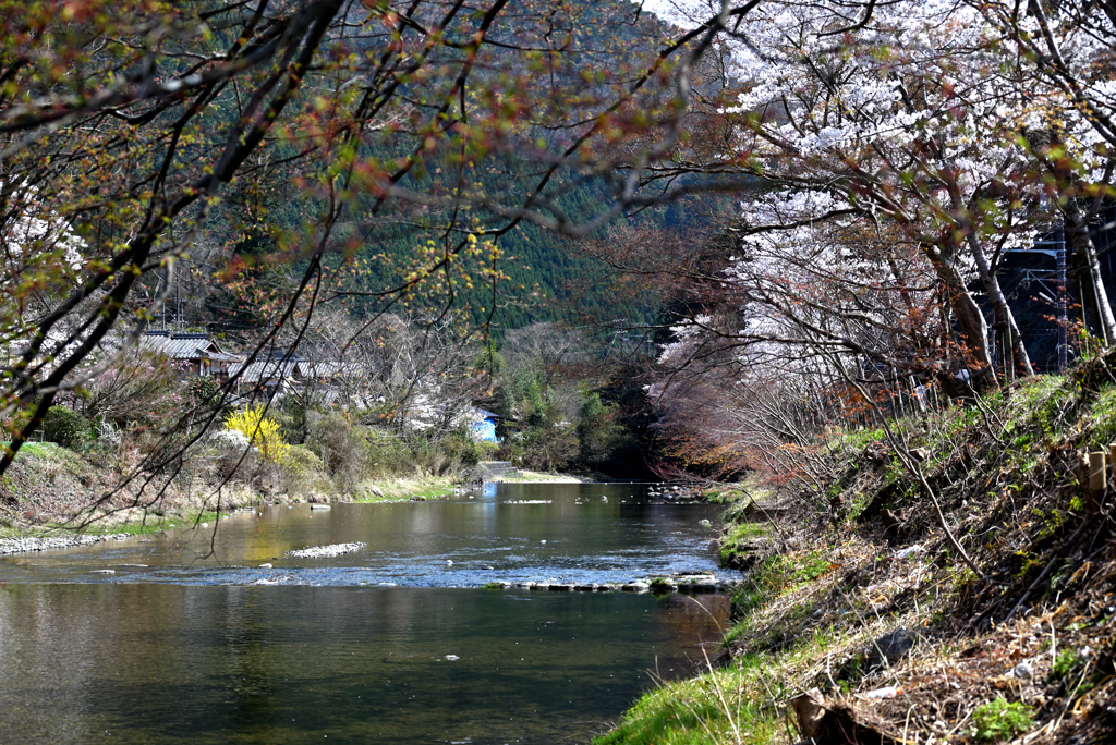 大原の川