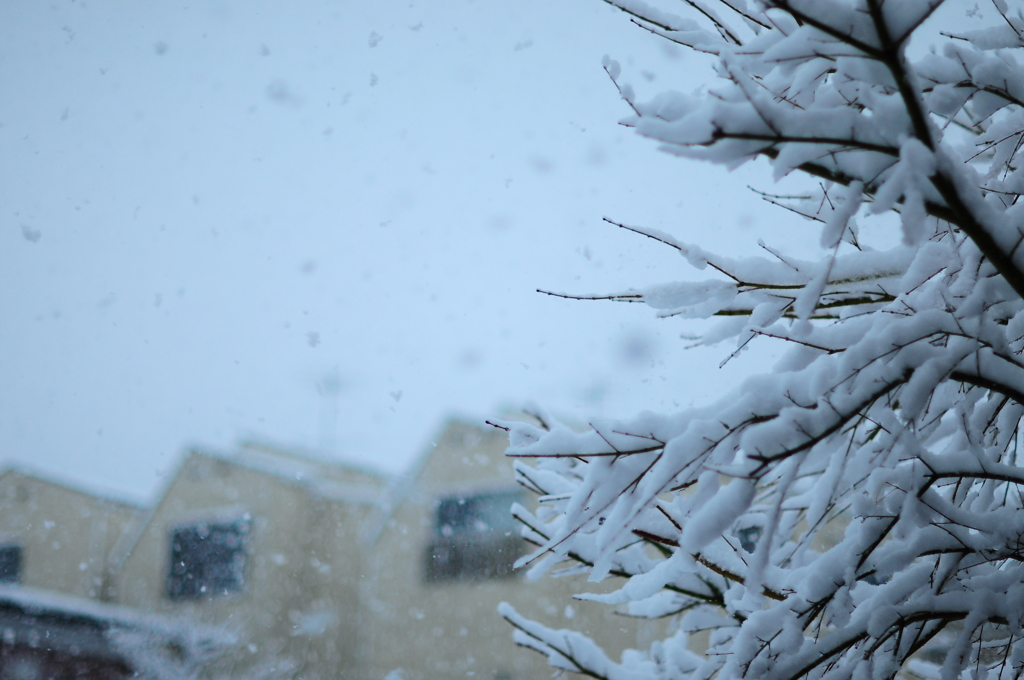 7年ぶりの大雪
