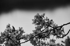 TIME SLIPPING ...