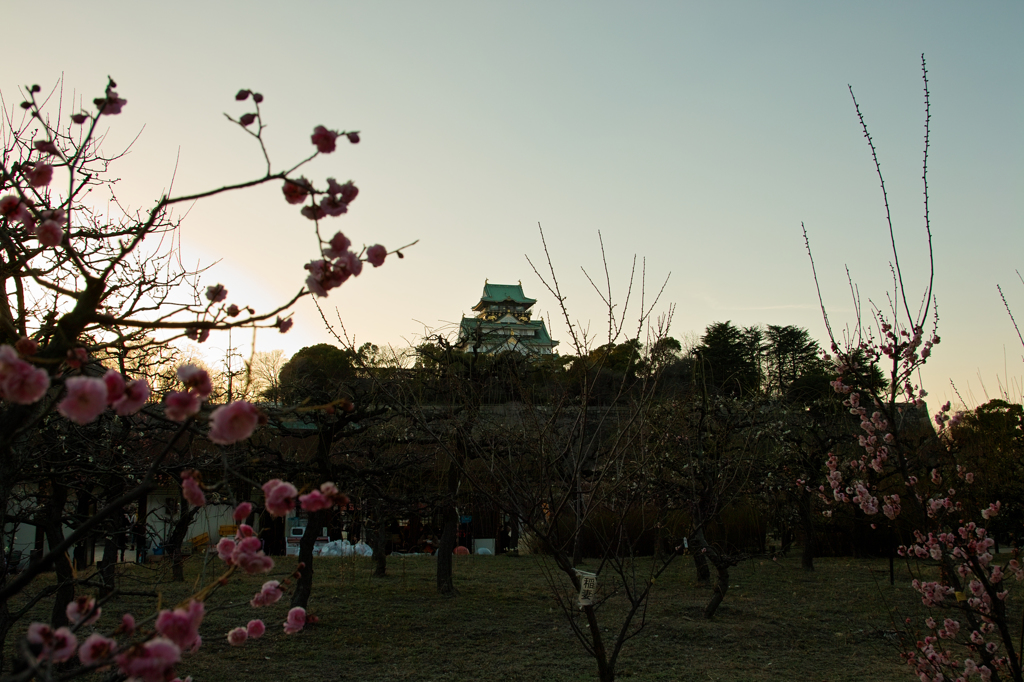 SDIM2821