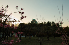 SDIM2821