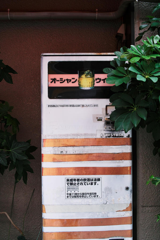 【いい加減街撮】オーシャンウイスキー