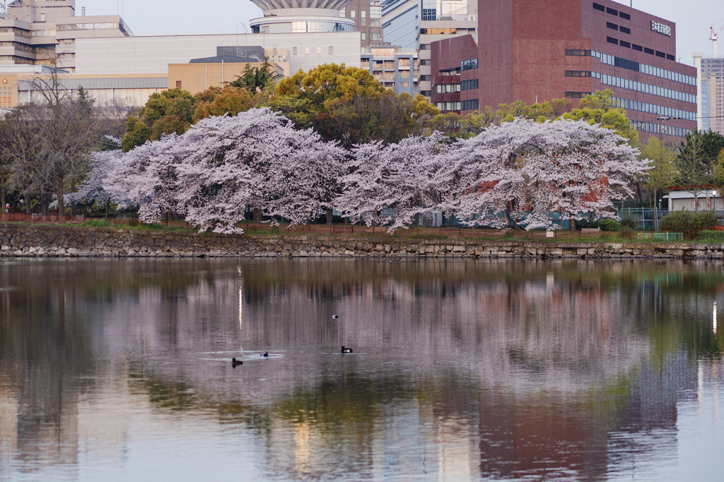 Tamron 30A  フタタビ