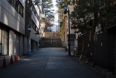 冬の定点